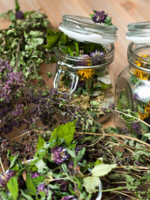 Collection of dried herbs close up